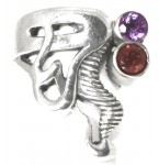 Zilveren Ring Kizzy Red and Purple