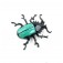 Broche Enamel Beetle