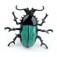 Broche Enamel Beetle