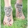 Barefoot Sandals Kylie