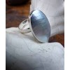 Zilveren Ring Nautilus