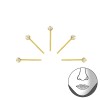 Silver set goldplated Nosestuds Lindy