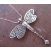 Zilveren Ketting met Kettinghanger/Broche Dragonfly