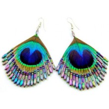 Iridescent Peacock Earrings