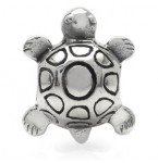 Zilveren Bedel Schildpad 3D