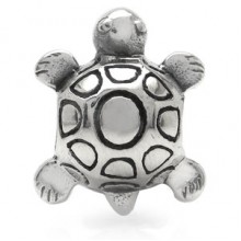 Zilveren Bedel Schildpad 3D